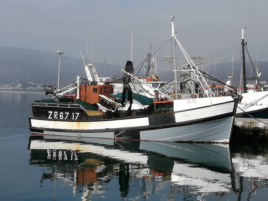 0 Bedroom Property for Sale in Shelley Point Western Cape